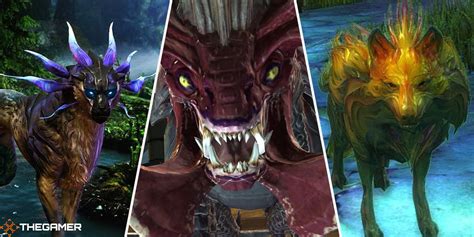 gw2 ectoplasm|gw2 ranger pets by zone.